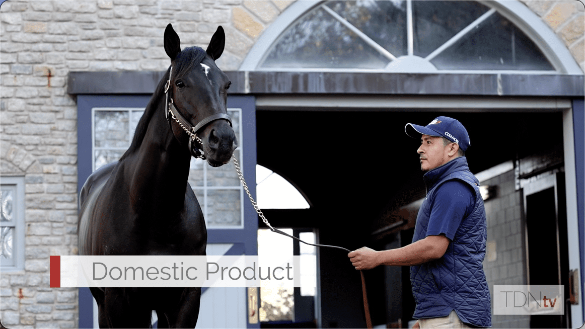 Domestic Product Joins Sire Practical Joke at Ashford